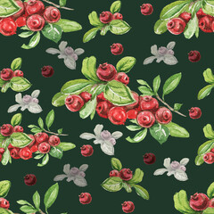 Lingonberry berries. Hand-drawn watercolor pattern. Bright beautiful print, textile, background. forest. Cotton, snowberry, spruce, pine, branches and cones. Seamless pattern Sketch, retro, vintage. F