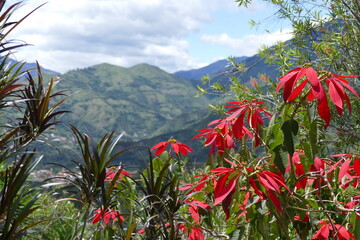 Vilcabamba, das Tal der Langlebigen. Der Name kommt aus dem Quechua und bedeutet „Heiliges...