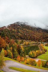 Obraz premium Wonderful colors of the autumn landscape in the forest