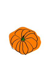 pumpkin 