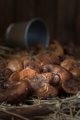 Cowshed mushrooms on a straw , on blurred backgroundbackground. Nature