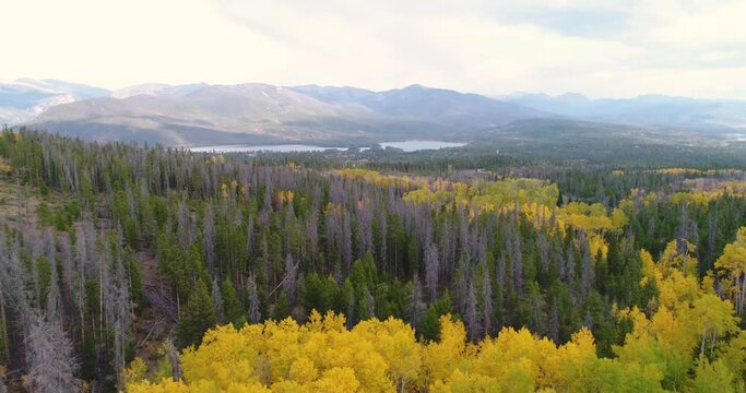 Aerial showing beautiful aspen trees and Shadow mountain lake