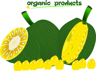natural products jackfruit.