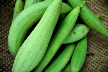 Sponge gourd pure green or Luffa cylindrica the sponge gourd