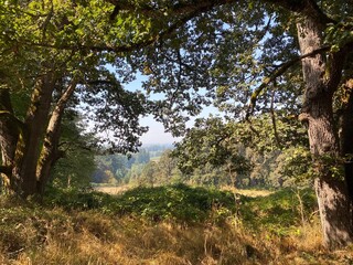 Fototapeta na wymiar View of a Western Oregon Valley