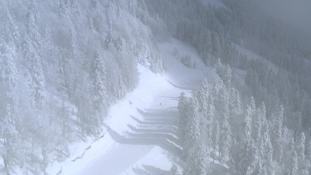 Aerial view skier riding on ski from cloud mountain slope in winter resort. Skiers and snowboarders moving on snowy slope in mountain resort. Drone view fogy mountain slope on ski resort
