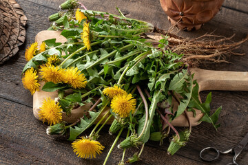Fresh dandelions with roots © Madeleine Steinbach
