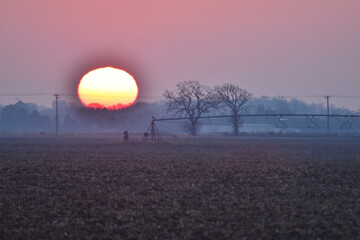 Pivot Irrigation at Sunset