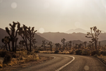 sunset in the mountains