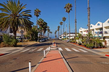 Naklejka premium palm street