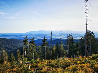 View from the top of Turbacz, Gorce. Autumn in the mountains.