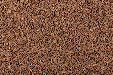 Cumin seeds background. Cumin seeds or caraway. Top view.