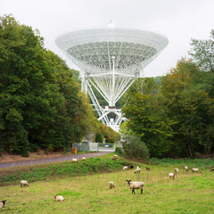 Radio telescopes are the main observing instrument used in radio astronomy