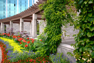 Fototapeta na wymiar Beautiful City Garden with Trellis