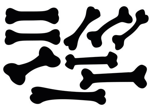 Dog bones in the set.