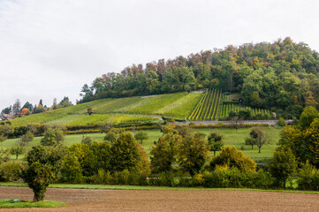 Arlesheim, Weinberg, Landwirtschaft, Schloss Birseck, Burg,  Wald, Obstbäume, Ermitage,...