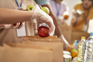 Close up of hand of volunteer in glove holding an apple while collecting, sorting food for needy...