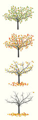 Tree with green and red leaves and fruits in four versions, with leaves and fallen leaves on a light background
