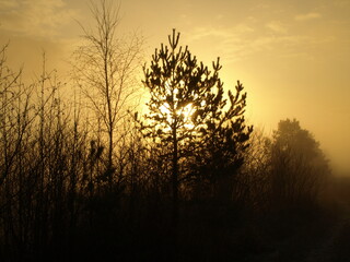 Fototapeta premium sunset