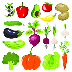 Vegetables isolated collection set icon. Vector flat graphic cartoon illustration design. 