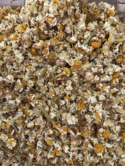 autumn leaves background