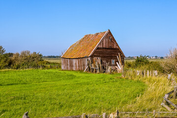 Fototapeta na wymiar Authentic sheep barn on the island of Texel