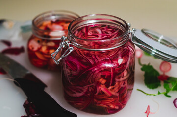 pickled red onions and radishes