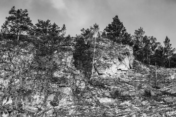 Scenery landscape with green forest and high rocky mountain under blue sky. black-white photo