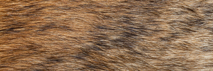 close up of brown fur texture