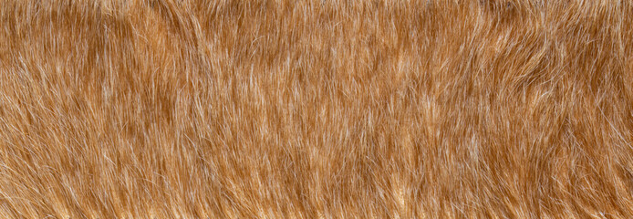 close up of brown fur texture
