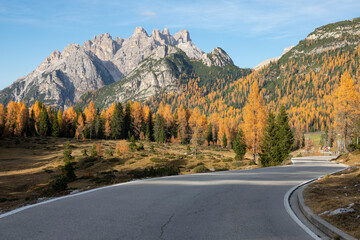 Scenic view of an empty mountain pass road and gorgeous forest changing colors.