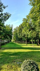Obraz premium park in the park