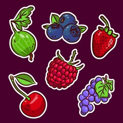 A set of various berries.  Berry stickers: cherry, raspberry, lochina, grapes, gooseberries, strawberries and grapes.