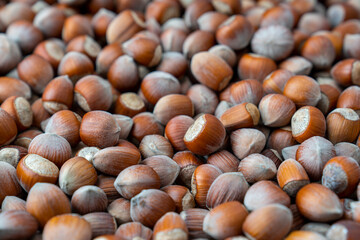 Heap of raw hazelnut background.