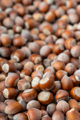 Heap of raw hazelnut background.