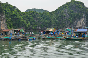 Fototapeta na wymiar Life on the water. Halong Bay