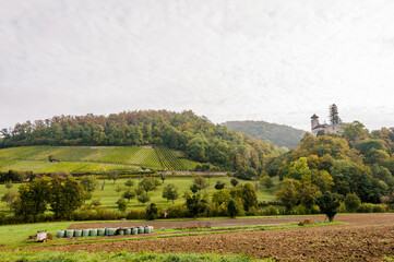 Obraz premium Arlesheim, Weinberg, Landwirtschaft, Schloss Birseck, Burg, Wald, Obstbäume, Ermitage, Herbstfarben, Wanderweg, Herbst, Baselland, Schweiz