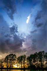Overcast sky. Thunderclouds.Silhouette of tall trees.Green steppe.Vertical photo