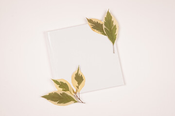 empty white photo book with leaves