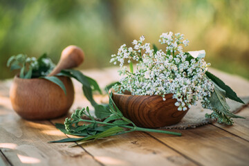 Fresh valerian flowers in wooden plate on table. mortar with prepared potion of valerian root. use...