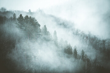 mysterious foggy mountain landscape, clouds fell on mountains and forest, toned, defocused, good as background for your text