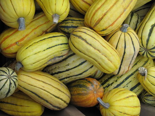 yellow melons