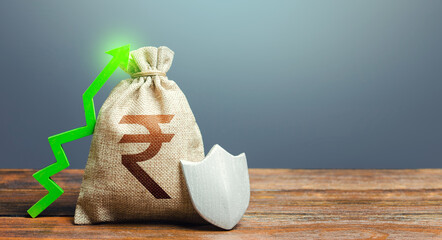 Indian rupee money bag with a shield and a green arrow up. Increasing maximum amount of guaranteed...
