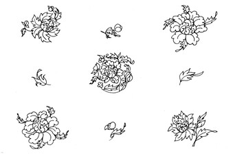 Set of hand drawn chrysanthemums, seamless  black and white pattern, Chinese flowers
