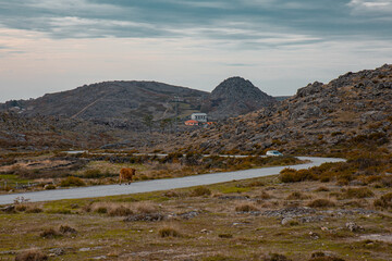 Serra da Freita - Arouca, Portugal