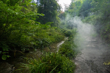Fluss Tower Burn im Nebel,  öffenlicher Pittencrieff Park Dunfermline