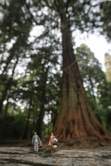 miniature tourists in the forest