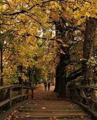 Naklejka premium autumn in the corona crisis
