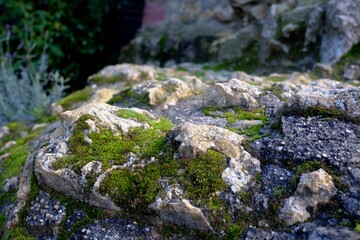moss on rocks in morning light - 387479748