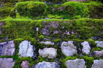 stone wall with moss - 387479783